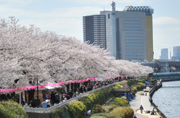 墨田区立図書館 一覧マップ 東京図書館ガイドマップ